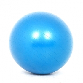 짐볼(3사이즈) Swiss Ball